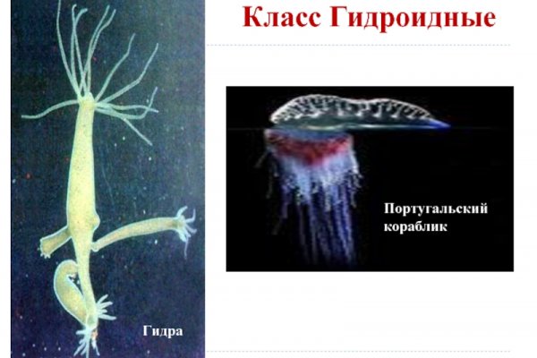 Ссылка на сайт кракен в тор браузере