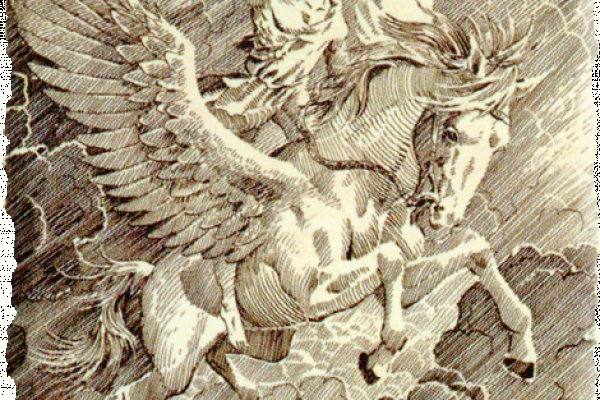 Какая ссылка у кракена