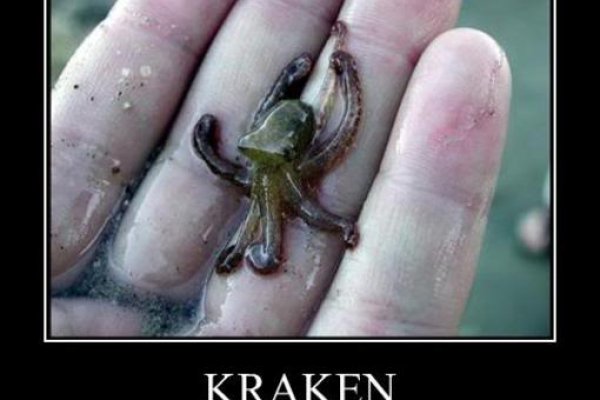 Kraken 12 att
