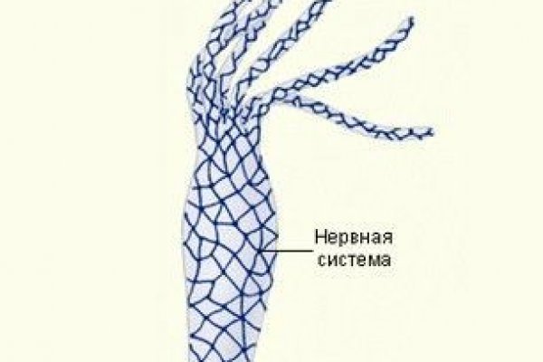 Купить наркотики в москве
