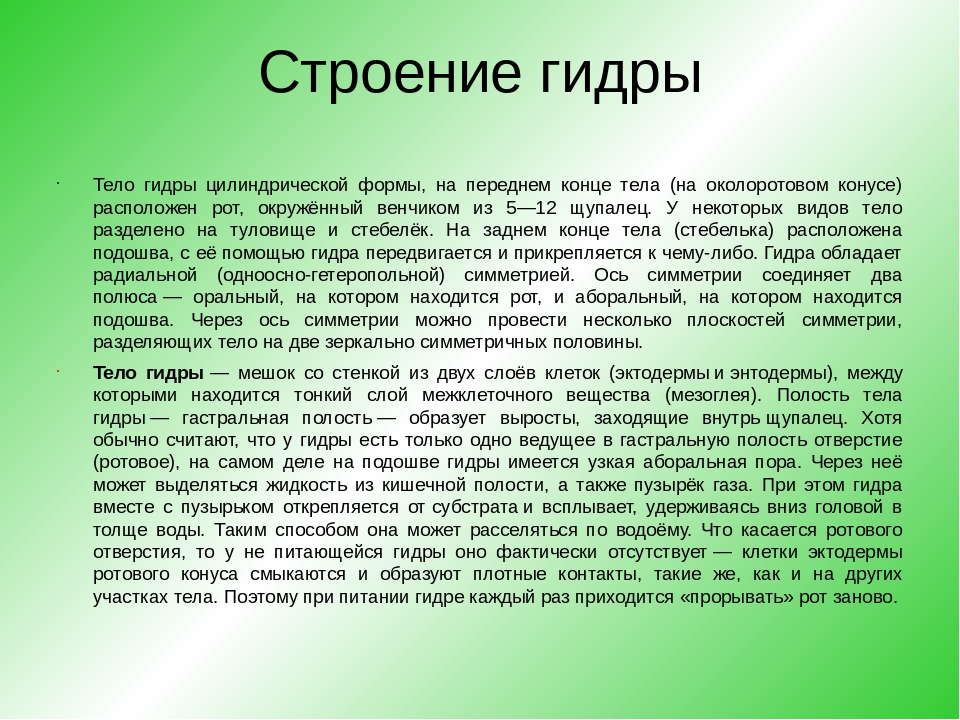 Кракен в россии наркотик
